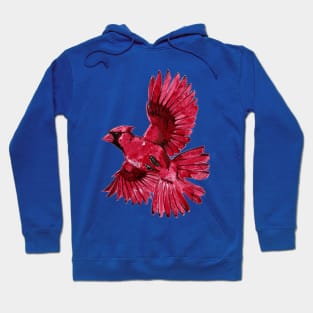 Watercolor Cardinal 1 Hoodie